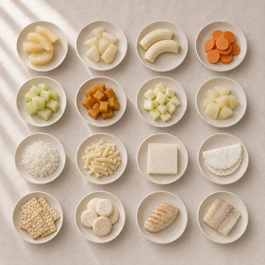 Alimentos permitidos servidos em pratinhos: frutas e legumes
      cozidos, sem casca e sem sementes